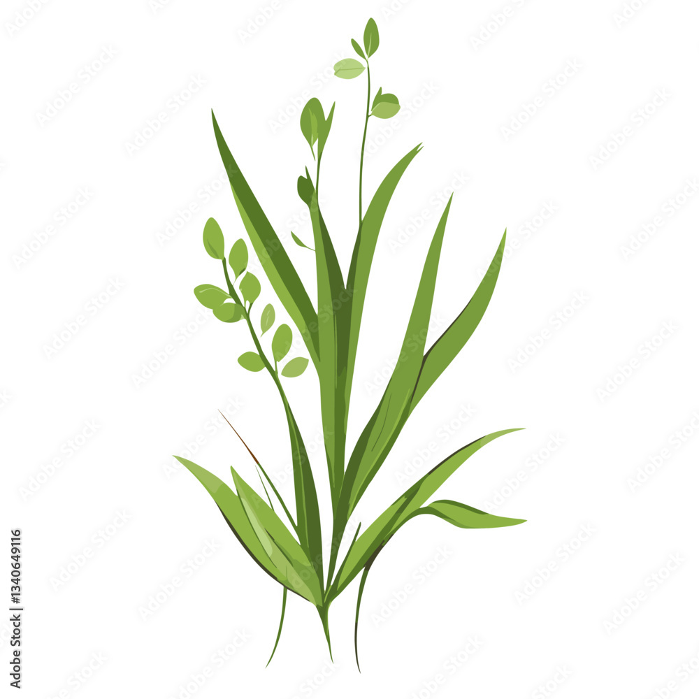 Flat vector of wild grass leaves leaf art vector Flat vector of wild grass leaves leaf art vector