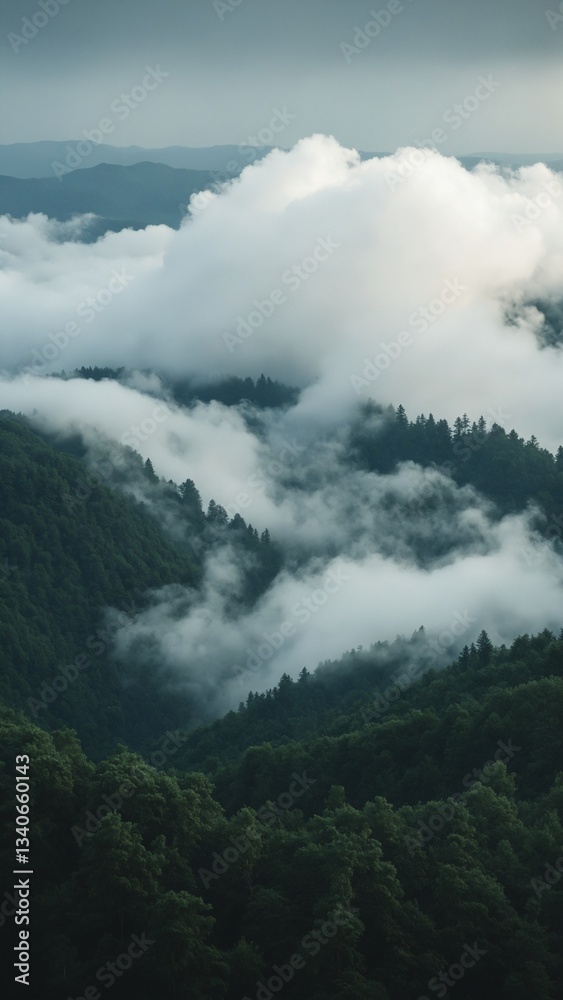 A misty landscape seamlessly transitions into a thick forest, with addition of hovering clouds enhancing enchanting atmosphere, highlighting interaction between wooded terrain and atmospher A misty landscape seamlessly transitions into a thick forest, with addition of hovering clouds enhancing enchanting atmosphere, highlighting interaction between wooded terrain and atmospher