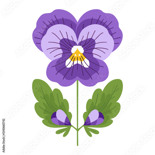 Pansies pansy illustration flower vector