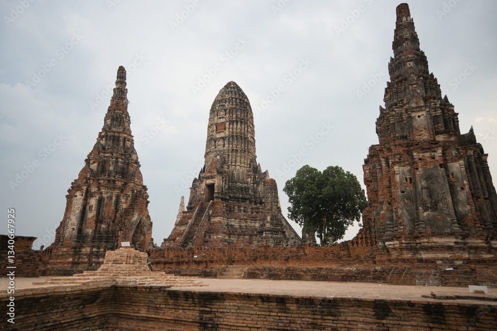 wat chai wattanarama ayutthaya a large group of buildings with a tree in the middle. The buildings are old and have a lot of detail, giving the impression of a historical site