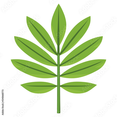 Star shape tropical leaf green illustration symmetrical vector