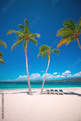 Fototapeta Naklejka Na Ścianę i Meble -  Exotic tropical beach and Palm trees on Bacardi Island Cayo Levantado Samana Bay, Dominican Republic, Caribbean Sea