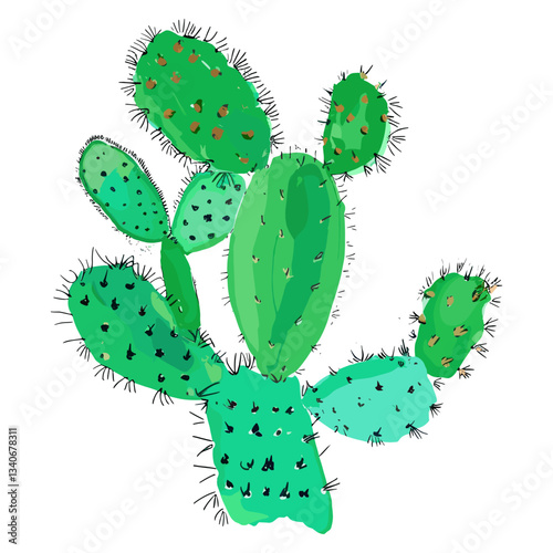 Cactus plant white background creativity  vector