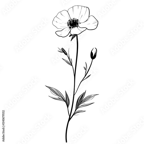 Flower art illustration minimalist vector