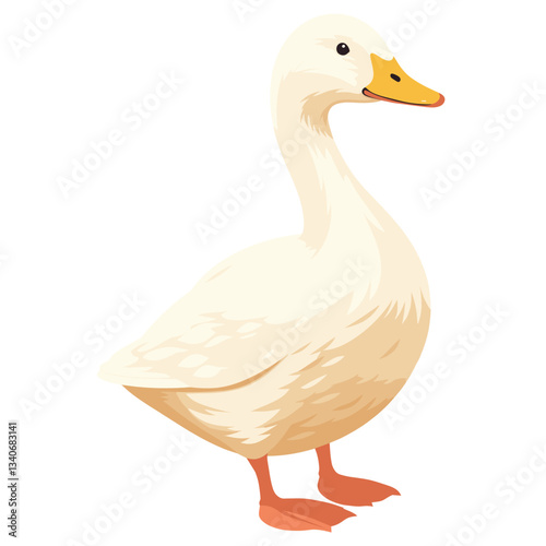 Duck illustration animal bird vector