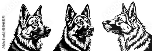 german dog 1