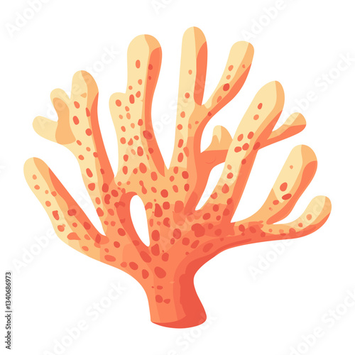 Coral illustration invertebrate underwater vector