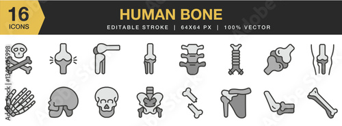 Human Bone flat color icon set. Includes bone, skeleton, anatomy, human, and More. Flat color icons vector collection.