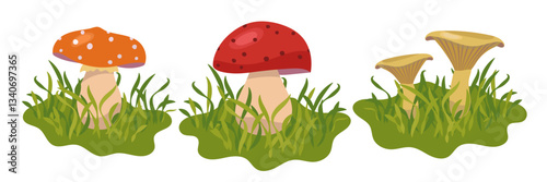 Forest mushrooms set, cute vector illustration in cartoon style. Green grass.