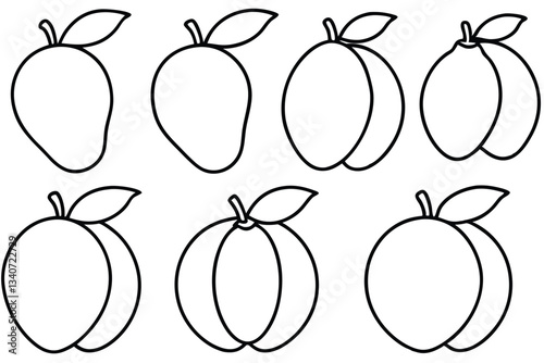 Mango line art botanical sketch style tropical fruit print.eps