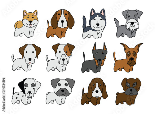 Dog Collections