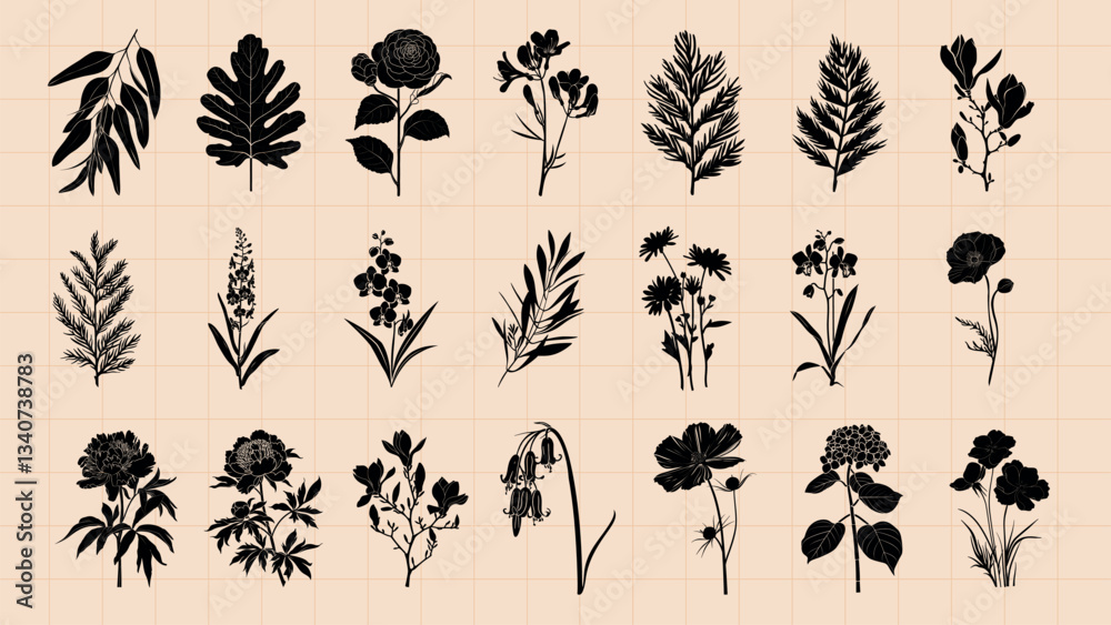 Fototapeta premium Botanical silhouette art collection, isolated vector set