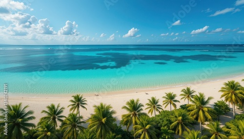 Tropical Beach Paradise with Palm Trees