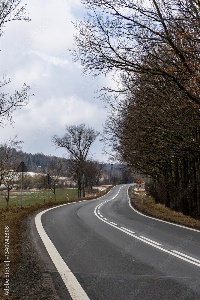 Fototapeta premium Asphalt road going into the distance. Poland.