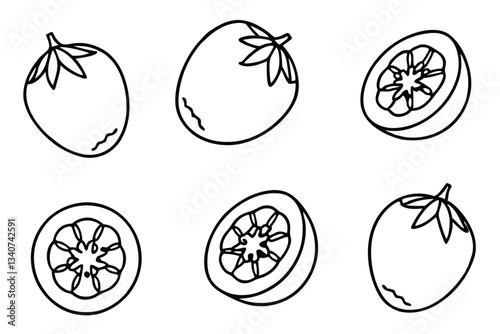 tamarillo line art botanical fruit artwork monochrome style.eps