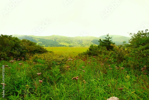 Landscape in Kirigamine, Nagano, Japan in autumn photo