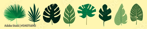 Tropical leaves vector illustration, isolated vector set