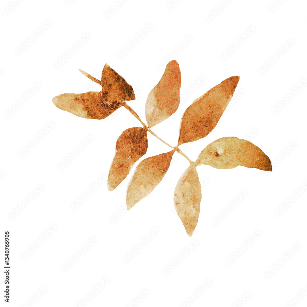 Watercolor Autumn Foliage Branch Watercolor Autumn Foliage Branch