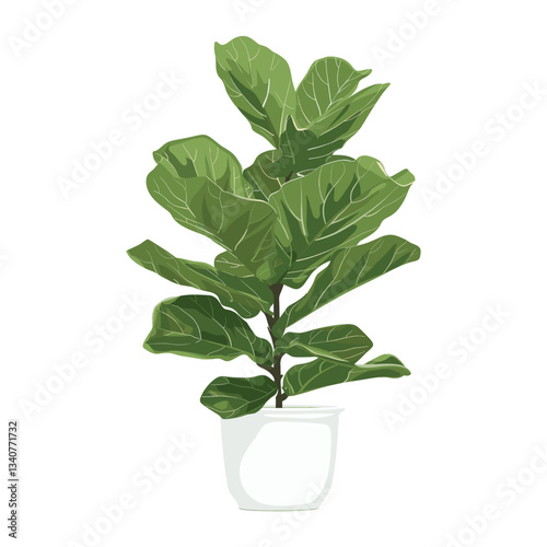 Potted fiddle leaf fig plant illustration potted vegetable vector