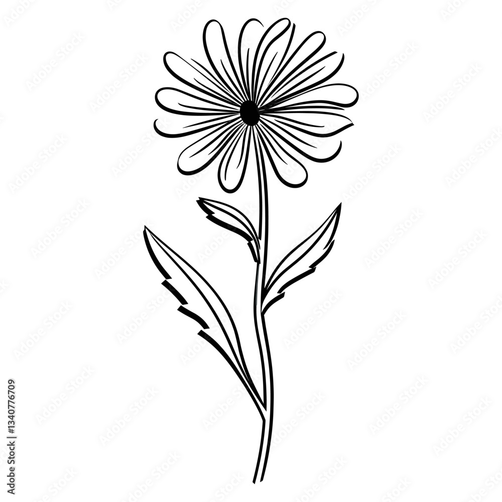 Borage art illustration drawing vector Borage art illustration drawing vector