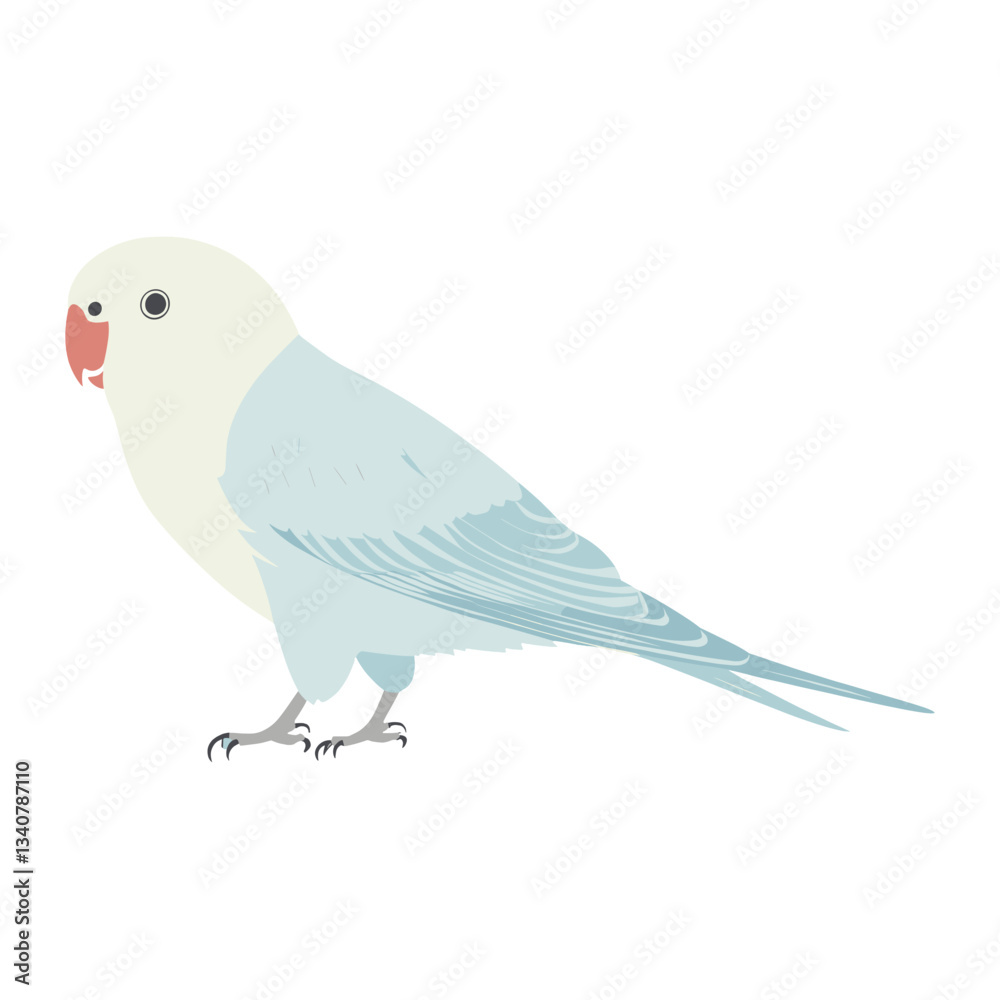 Fototapeta premium Bird illustration minimalist parakeet vector