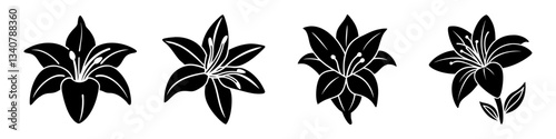 Obraz na plátne daylily flower icon, daylily flower silhouette vector illustration-simple silhou