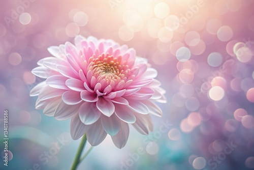 Soft Pink Flower with White Petals, Long Exposure Pastel Background Stock Photo