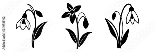 snowdrop flower icon, snowdrop flower silhouette vector illustration-simple silhouette illustration of snowdrop flower, perfect for snowdrop flower logos and icons