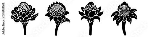 torch ginger flower icon, torch ginger flower silhouette vector illustration-simple silhouette illustration of torch ginger flower, perfect for torch ginger flower logos and icons