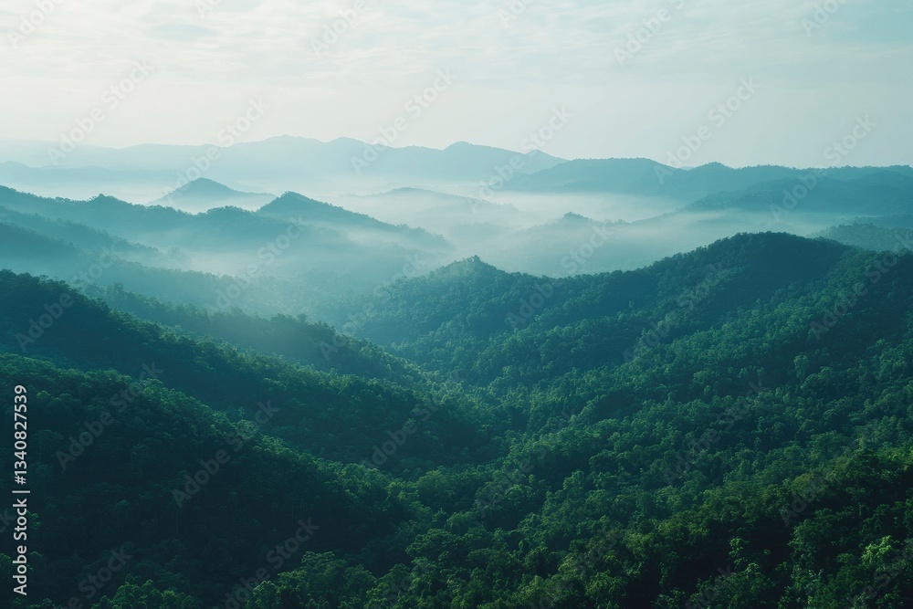 Green Mountain Range with Morning Fog and Forest Landscape Scenery Green Mountain Range with Morning Fog and Forest Landscape Scenery