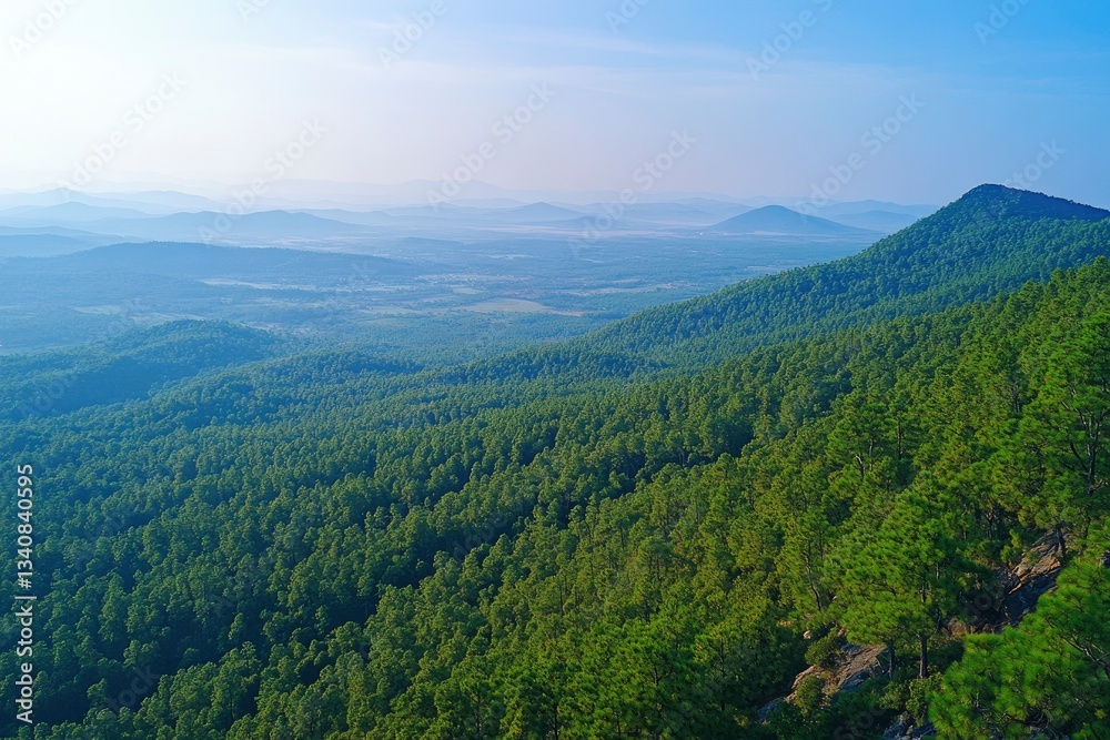 Panoramic View of Dense Forest on Rolling Mountains with Hazy Sky Panoramic View of Dense Forest on Rolling Mountains with Hazy Sky