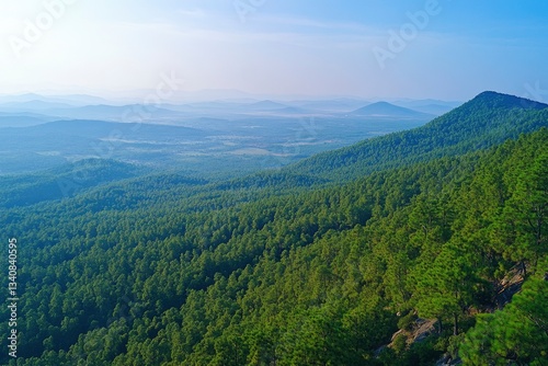 Panoramic View of Dense Forest on Rolling Mountains with Hazy Sky