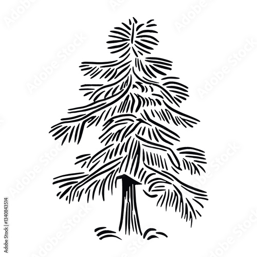 Blue spruce tree art drawing sketch vector