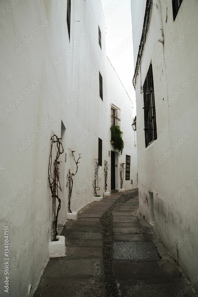 Fototapeta premium Charming narrow European alley with whitewashed walls.
