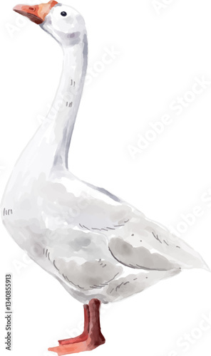 Hand drawn goose, watercolor style.