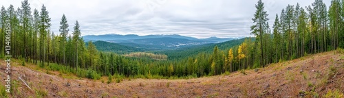 Panoramic view of a stunning mountainous landscape featu cleared land, lush evergreen forest, and a picturesque background of rolling hills.