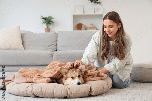 Young woman covering Corgi ...