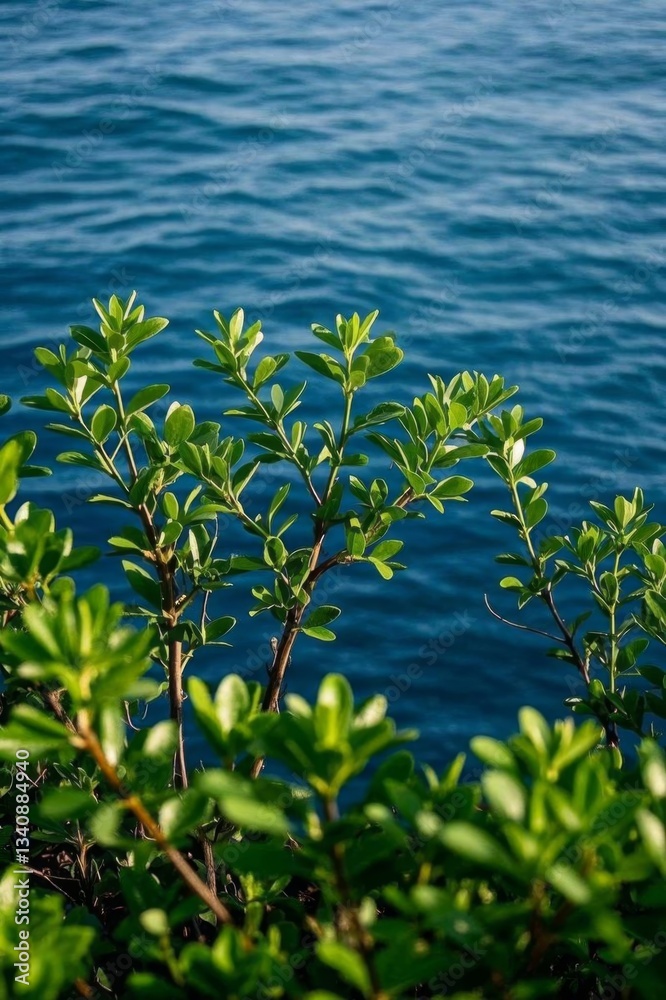 Obraz premium a close up of a plant with green leaves near the water