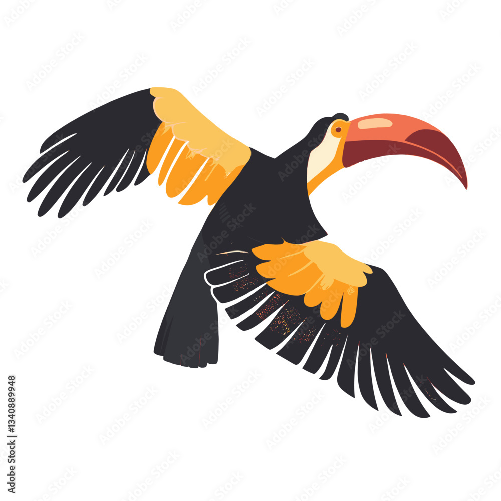 Fototapeta premium Hornbill animal illustration toucan vector