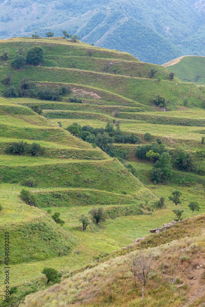green mountain terraces