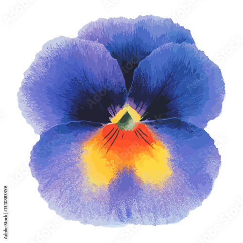 A purple-yellow pansy flower illustration botanical artistic vector