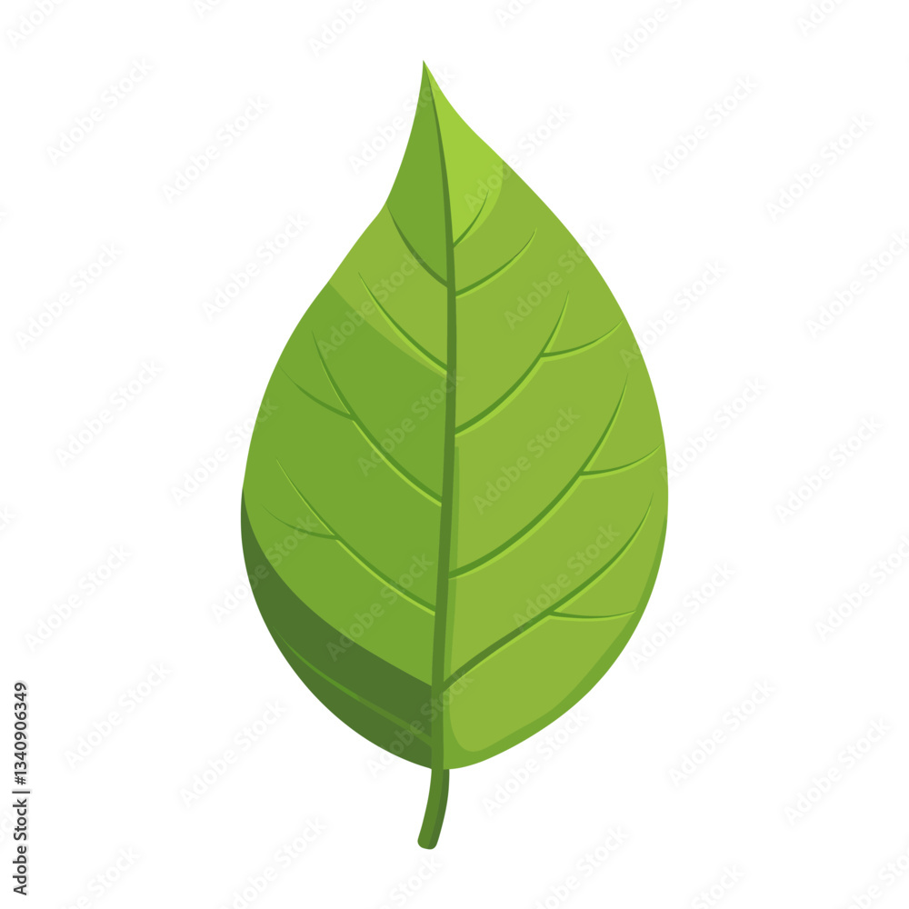 Front view of a simple green slender leaf illustration eco-friendly botanical vector Front view of a simple green slender leaf illustration eco-friendly botanical vector