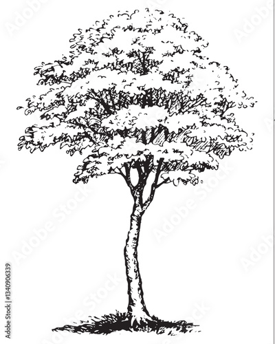 Cute big mighty green deciduous tree with lush leaves in thick grass. Vector monochrome freehand sketchy linear ink drawn backdrop in style pen on paper with space for text on sky

