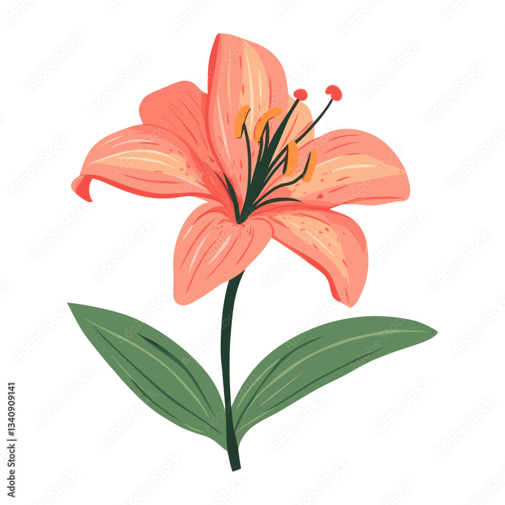 Fototapeta premium Lily flower lily illustration vibrant vector
