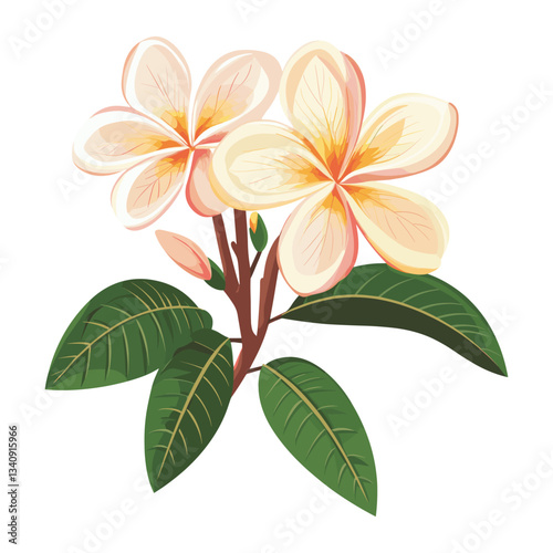 Plumeria art illustration flower vector