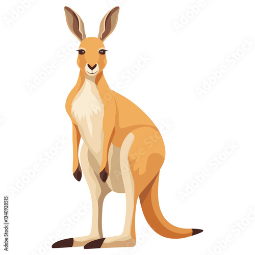 Kangaroo illustration animal vector vector