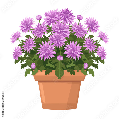 Potted plant purple Chrysanthemum flowers illustration potted potted plant vector