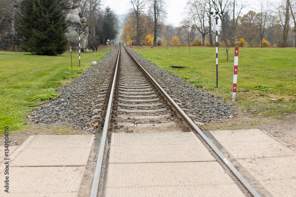 Single, diagonal railroad track through countryside landscape with a grass field. Empty railway track. Travel, adventure concept