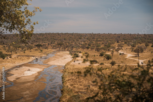 Elephant cooling down in tarangire national park, tanzania