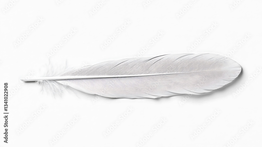 Obraz premium A single white feather resting on a plain white background